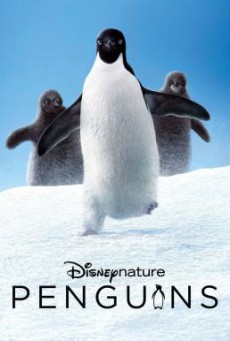 Penguins (2019) HDTV